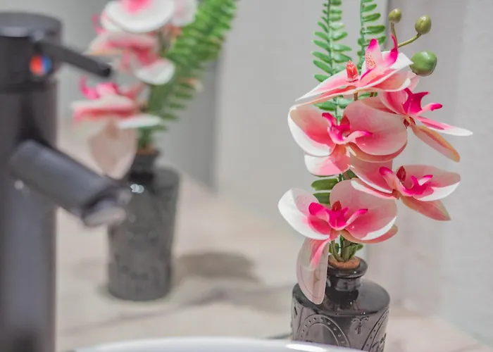 Les Cocons De アパート *